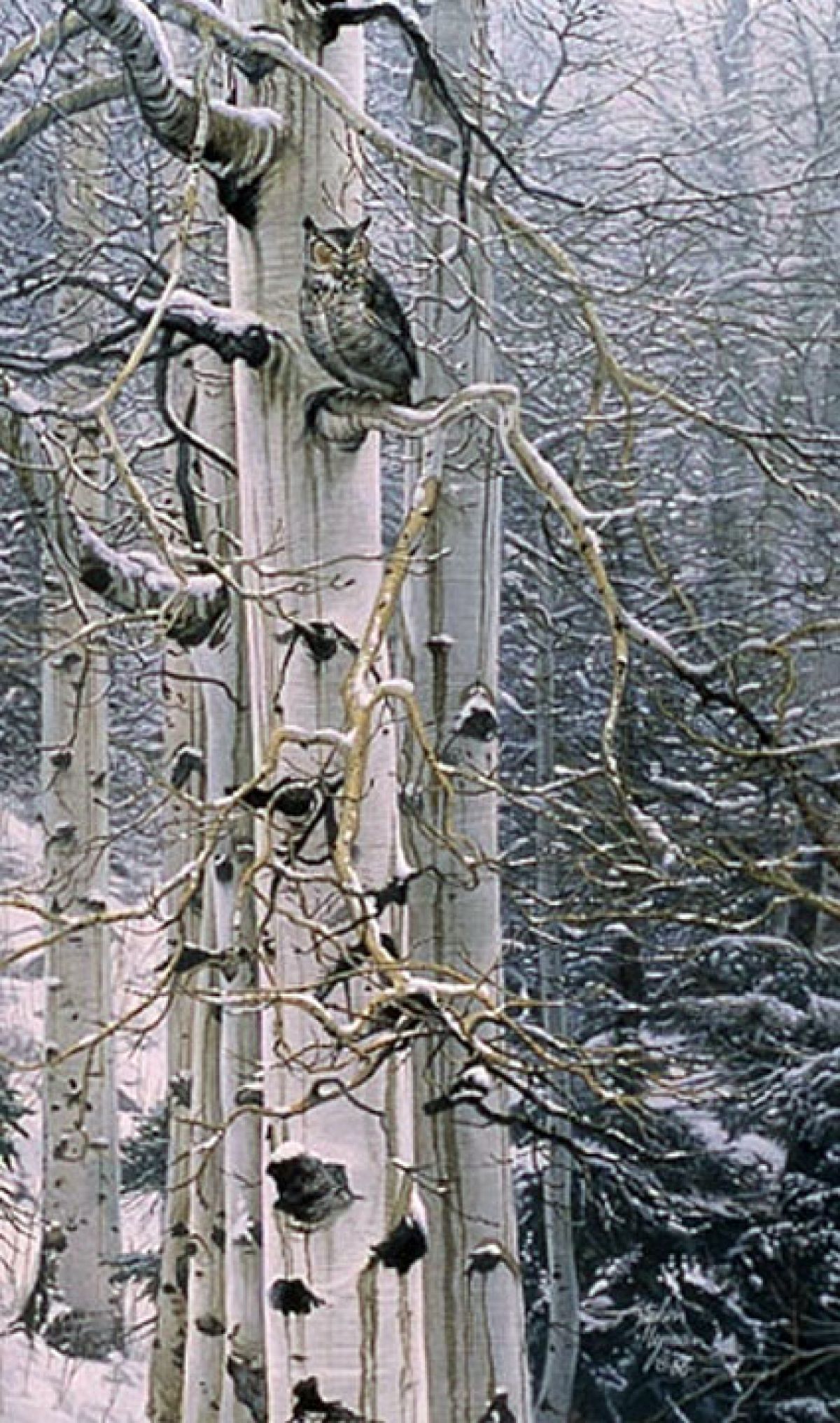 Sentinel of Grove